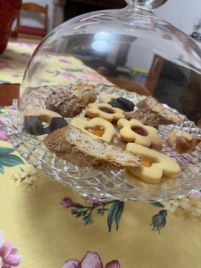 Willa La Pineta Asyż Zewnętrze zdjęcie